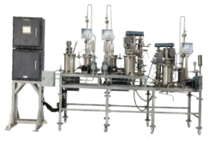 Twin Flow Reactor System